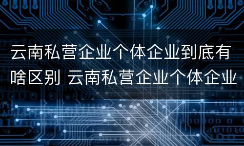 云南私营企业个体企业到底有啥区别 云南私营企业个体企业到底有啥区别呢