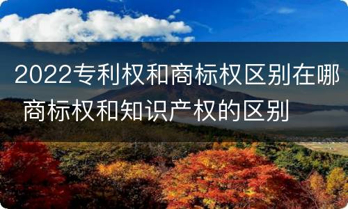 2022专利权和商标权区别在哪 商标权和知识产权的区别