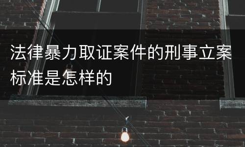 法律暴力取证案件的刑事立案标准是怎样的