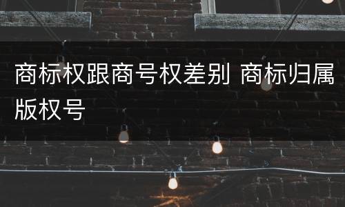 商标权跟商号权差别 商标归属版权号