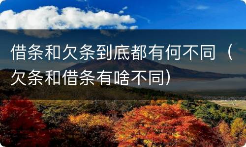 借条和欠条到底都有何不同（欠条和借条有啥不同）