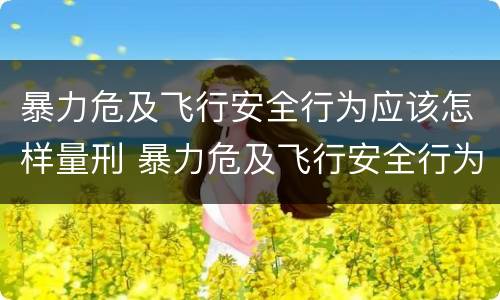 暴力危及飞行安全行为应该怎样量刑 暴力危及飞行安全行为应该怎样量刑呢