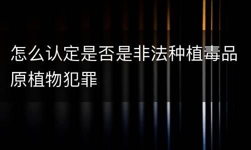 怎么认定是否是非法种植毒品原植物犯罪