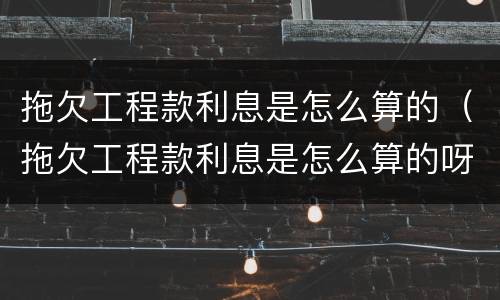 拖欠工程款利息是怎么算的（拖欠工程款利息是怎么算的呀）