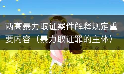 两高暴力取证案件解释规定重要内容（暴力取证罪的主体）