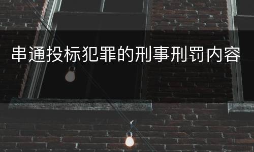 串通投标犯罪的刑事刑罚内容
