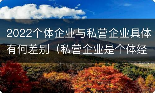 2022个体企业与私营企业具体有何差别(私营企业是个体经营吗)