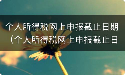 个人所得税网上申报截止日期（个人所得税网上申报截止日期怎么填）