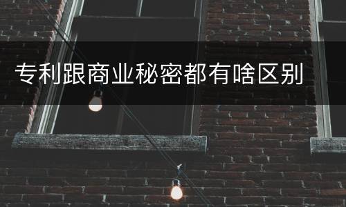 专利跟商业秘密都有啥区别