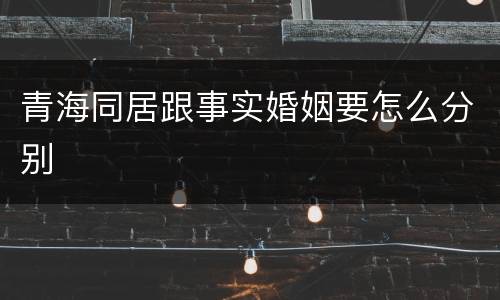 青海同居跟事实婚姻要怎么分别