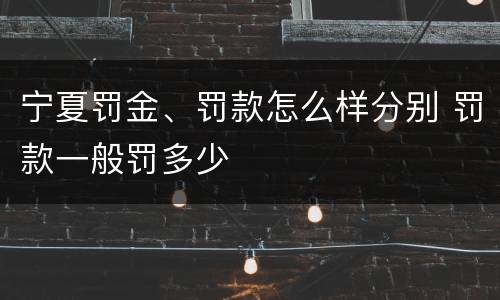 宁夏罚金、罚款怎么样分别 罚款一般罚多少