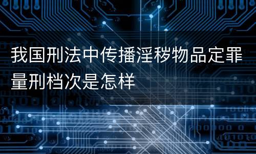 我国刑法中传播淫秽物品定罪量刑档次是怎样