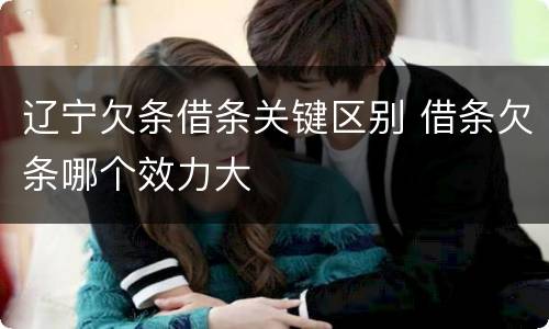 辽宁欠条借条关键区别 借条欠条哪个效力大