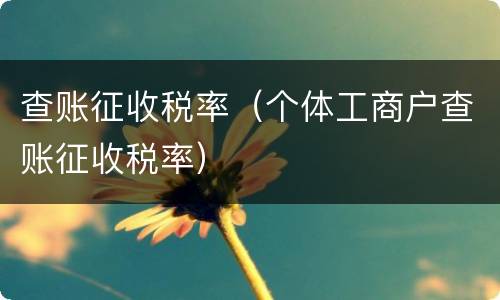 查账征收税率（个体工商户查账征收税率）
