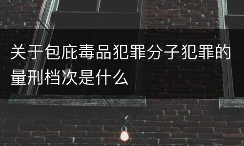 关于包庇毒品犯罪分子犯罪的量刑档次是什么