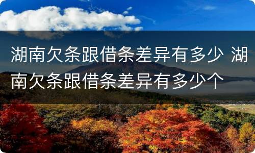 湖南欠条跟借条差异有多少 湖南欠条跟借条差异有多少个