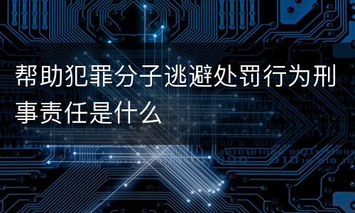 帮助犯罪分子逃避处罚行为刑事责任是什么