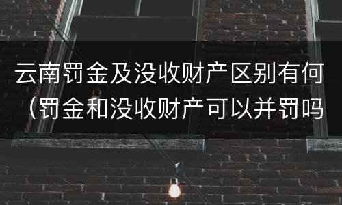 云南罚金及没收财产区别有何（罚金和没收财产可以并罚吗）