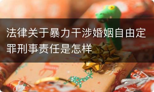 法律关于暴力干涉婚姻自由定罪刑事责任是怎样