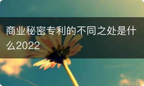 商业秘密专利的不同之处是什么2022