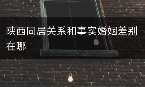 陕西同居关系和事实婚姻差别在哪