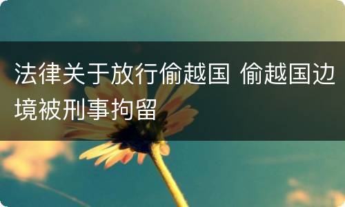 法律关于放行偷越国 偷越国边境被刑事拘留