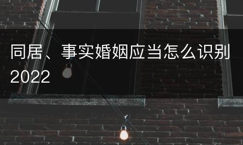 同居、事实婚姻应当怎么识别2022