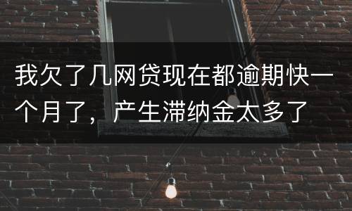 我欠了几网贷现在都逾期快一个月了，产生滞纳金太多了