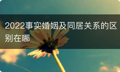 2022事实婚姻及同居关系的区别在哪