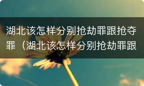 湖北该怎样分别抢劫罪跟抢夺罪（湖北该怎样分别抢劫罪跟抢夺罪呢）