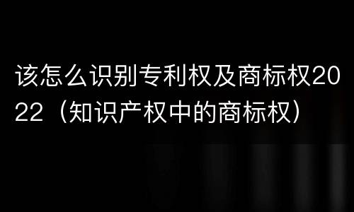该怎么识别专利权及商标权2022（知识产权中的商标权）
