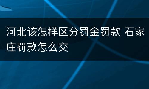 河北该怎样区分罚金罚款 石家庄罚款怎么交