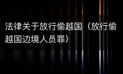 法律关于放行偷越国（放行偷越国边境人员罪）