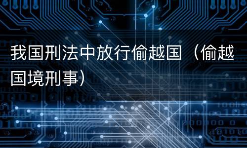 我国刑法中放行偷越国（偷越国境刑事）