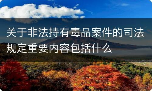 关于非法持有毒品案件的司法规定重要内容包括什么