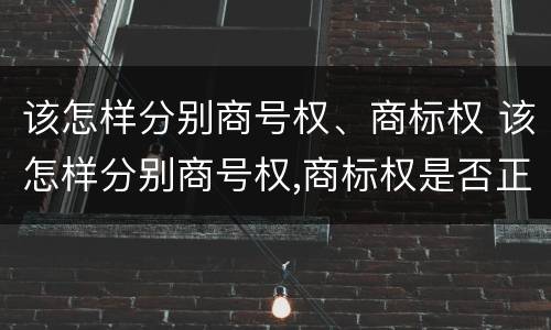该怎样分别商号权、商标权 该怎样分别商号权,商标权是否正确