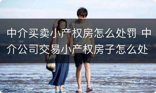 中介买卖小产权房怎么处罚 中介公司交易小产权房子怎么处罚