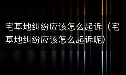 宅基地纠纷应该怎么起诉（宅基地纠纷应该怎么起诉呢）