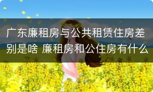 广东廉租房与公共租赁住房差别是啥 廉租房和公住房有什么区别