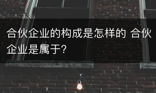 合伙企业的构成是怎样的 合伙企业是属于?