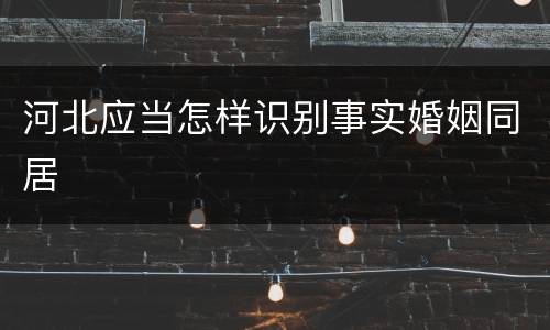 河北应当怎样识别事实婚姻同居