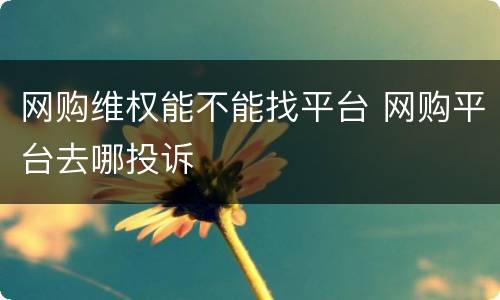 网购维权能不能找平台 网购平台去哪投诉