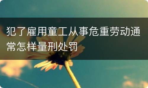 犯了雇用童工从事危重劳动通常怎样量刑处罚