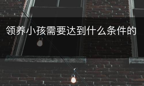 领养小孩需要达到什么条件的