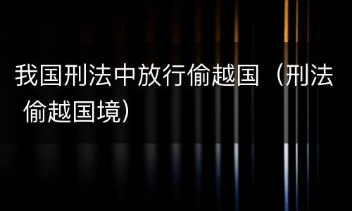 我国刑法中放行偷越国（刑法 偷越国境）