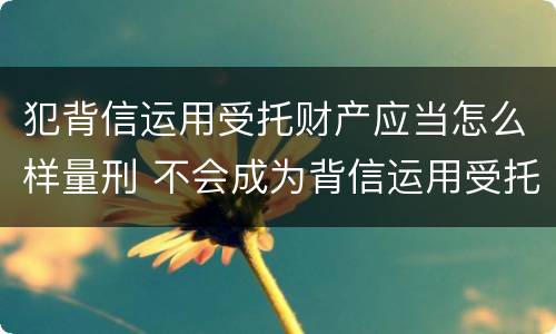 犯背信运用受托财产应当怎么样量刑 不会成为背信运用受托财产罪的犯罪主体