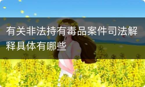 有关非法持有毒品案件司法解释具体有哪些