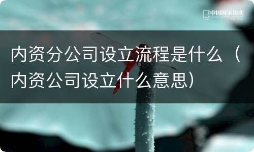 内资分公司设立流程是什么（内资公司设立什么意思）