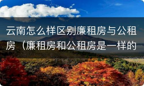云南怎么样区别廉租房与公租房（廉租房和公租房是一样的吗）
