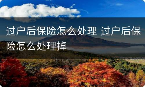 过户后保险怎么处理 过户后保险怎么处理掉